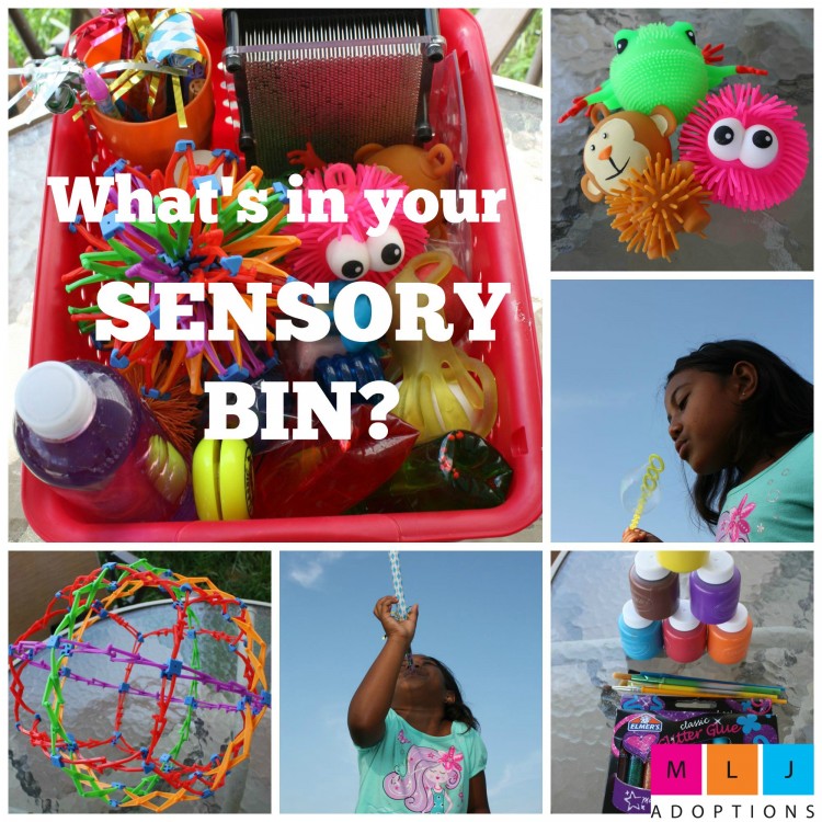 What's in Your Sensory Bin? 