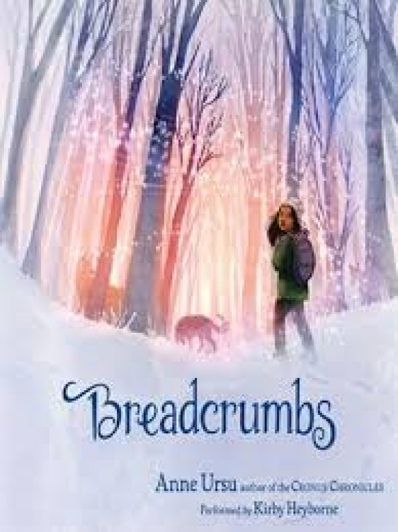 Chapter Book Review: Breadcrumbs by Anne Ursu