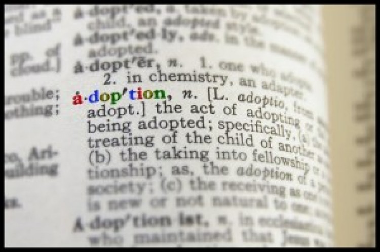 Sight Restoring Adoption