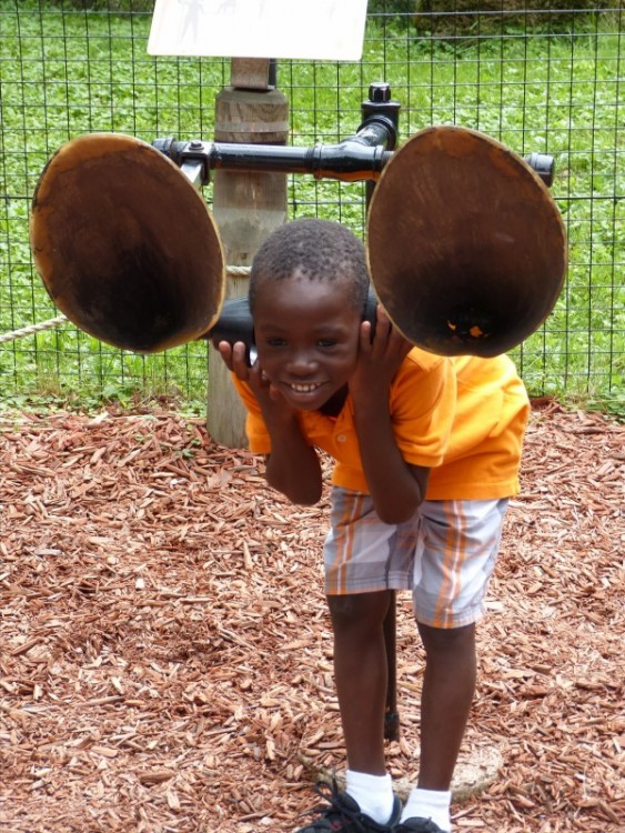 Teaching Your Adopted Child to be Resilient 