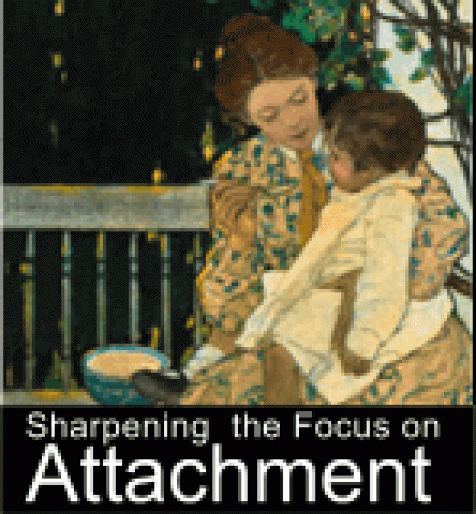 Sharpening the Focus on Attachment