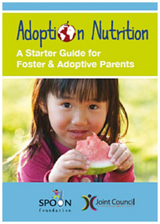 Adoption Nutrition: Hope and Healing through Proper Nutrition