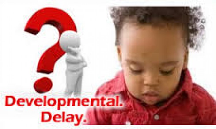 Developmental Delays