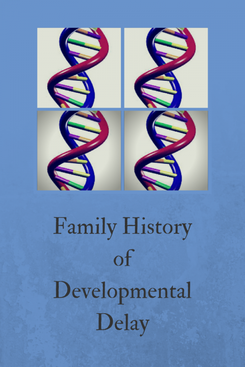 Family History of Developmental Delay