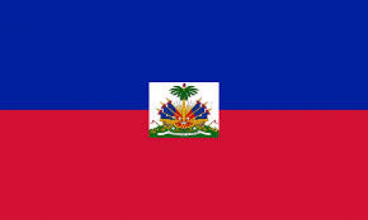 Adopting from Haiti