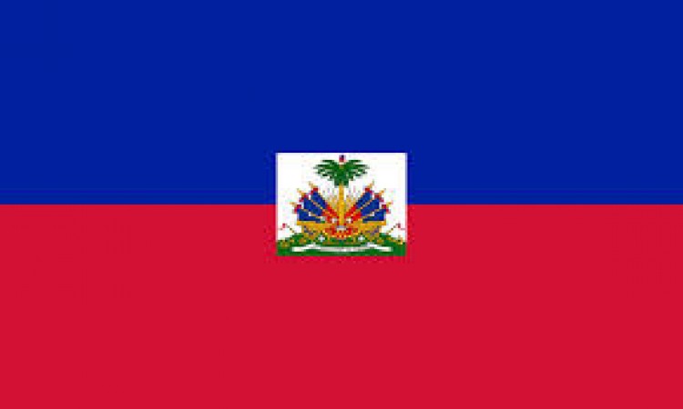 Adopting from Haiti